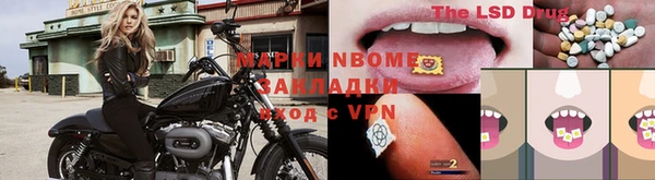 ГАЛЛЮЦИНОГЕННЫЕ ГРИБЫ Баксан