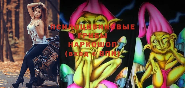 ГАЛЛЮЦИНОГЕННЫЕ ГРИБЫ Баксан