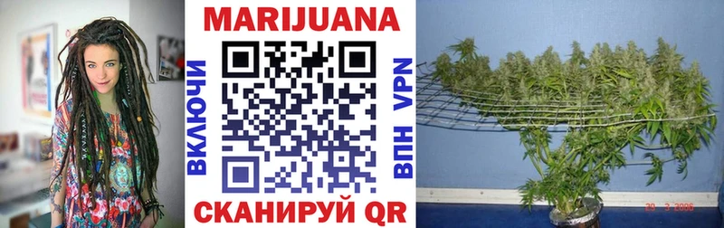 Бошки марихуана OG Kush  Свирск 